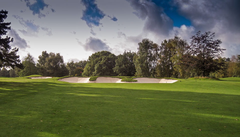 Copt Heath